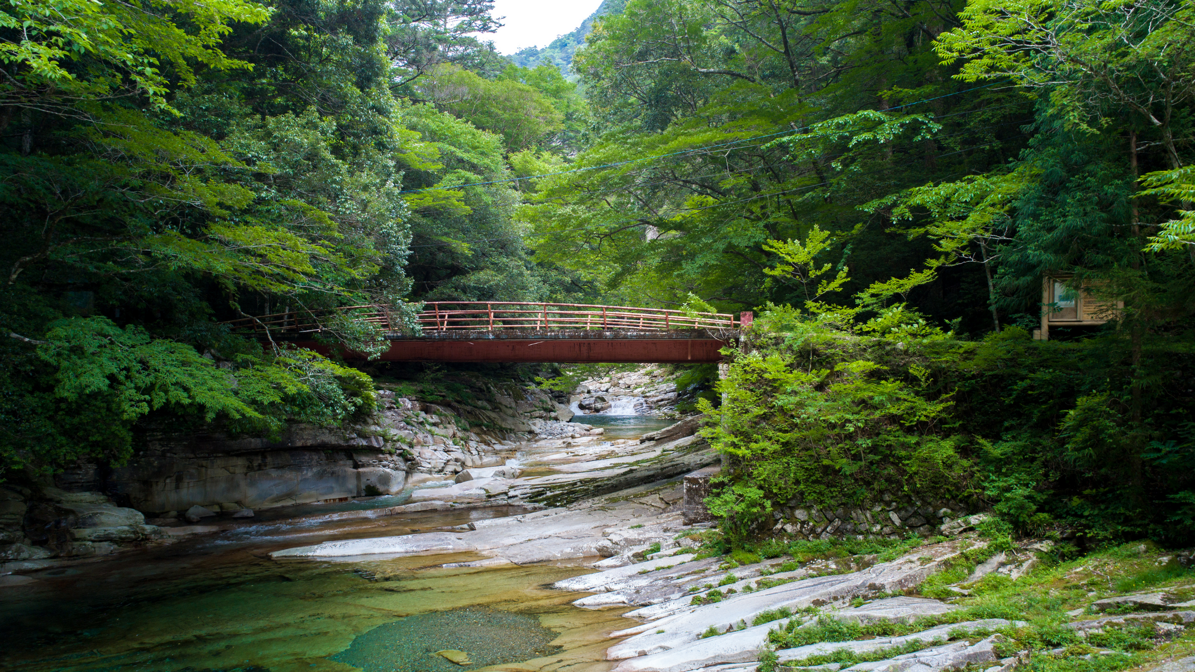 Ehime Prefecture 愛媛県