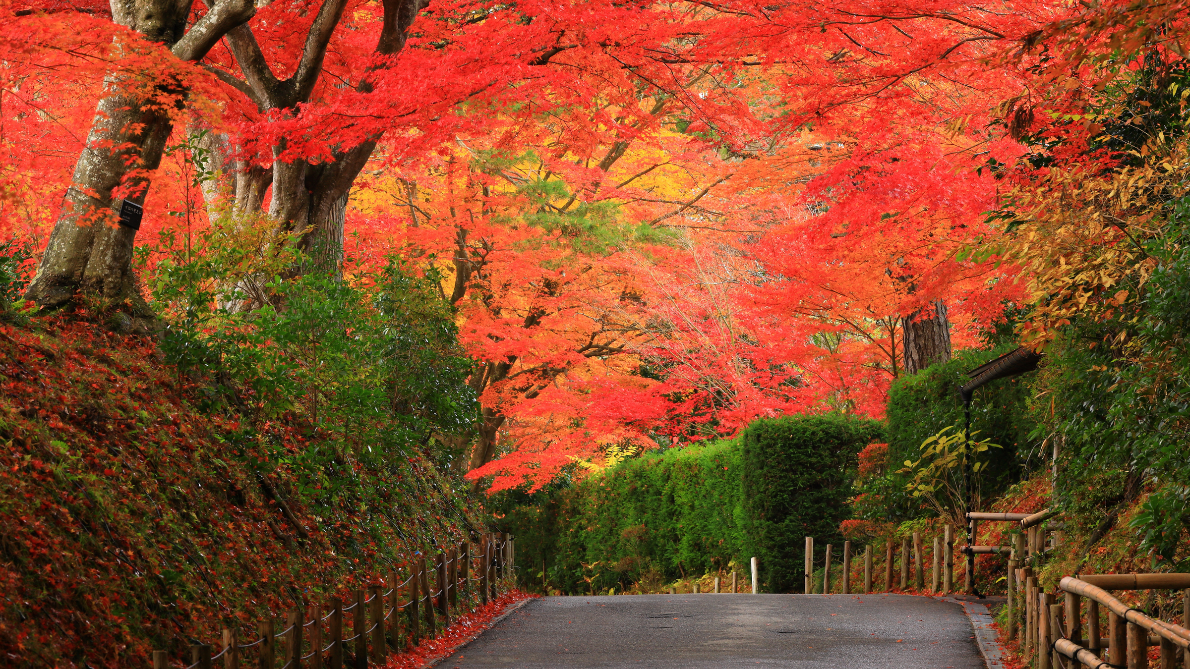 Iwate Prefecture 岩手県