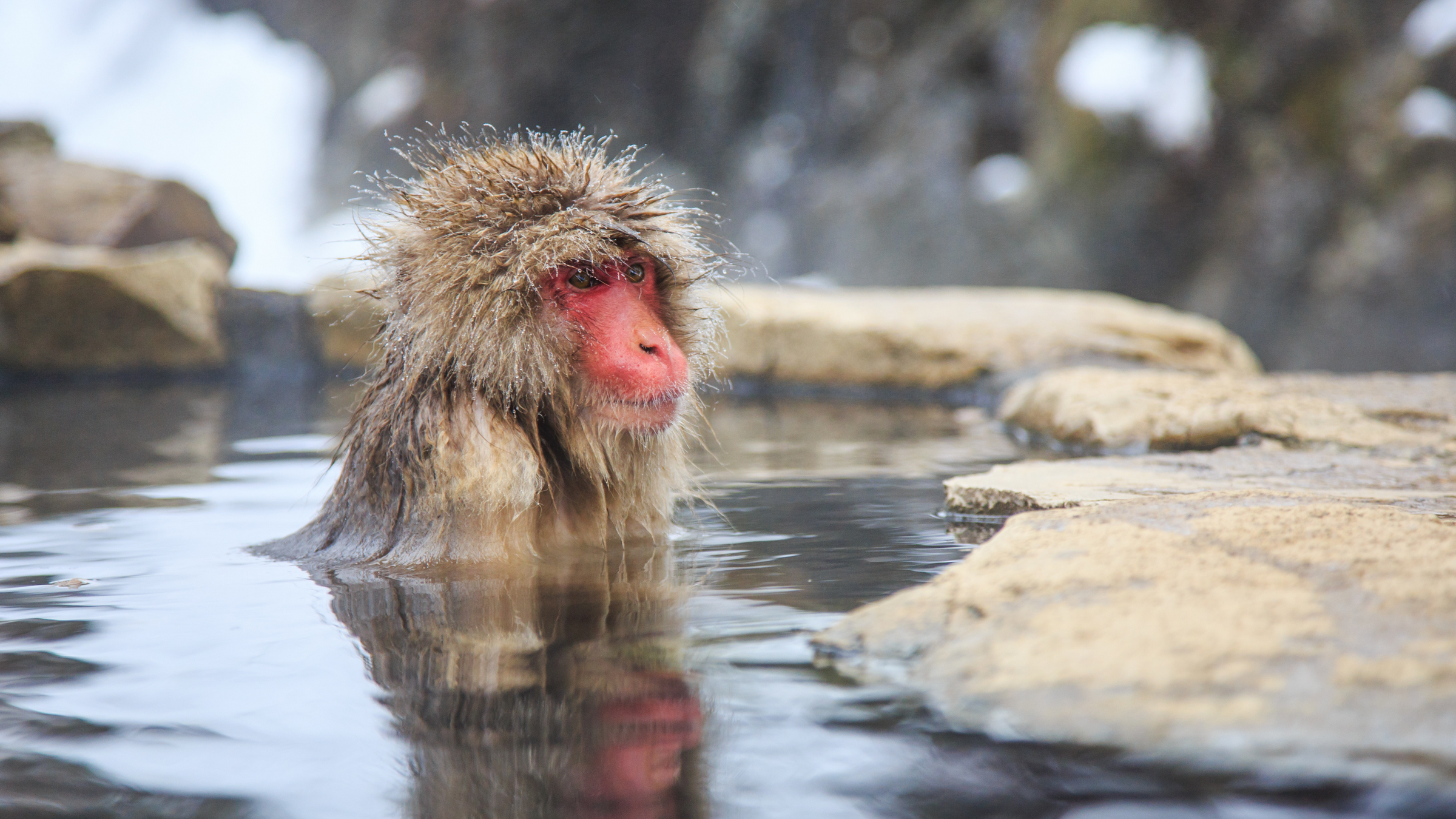 Nagano Prefecture 長野県