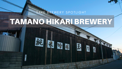 Sake Spotlight — Tamano Hikari