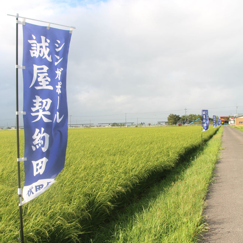 Niigata Rice Bundle - Sake Inn