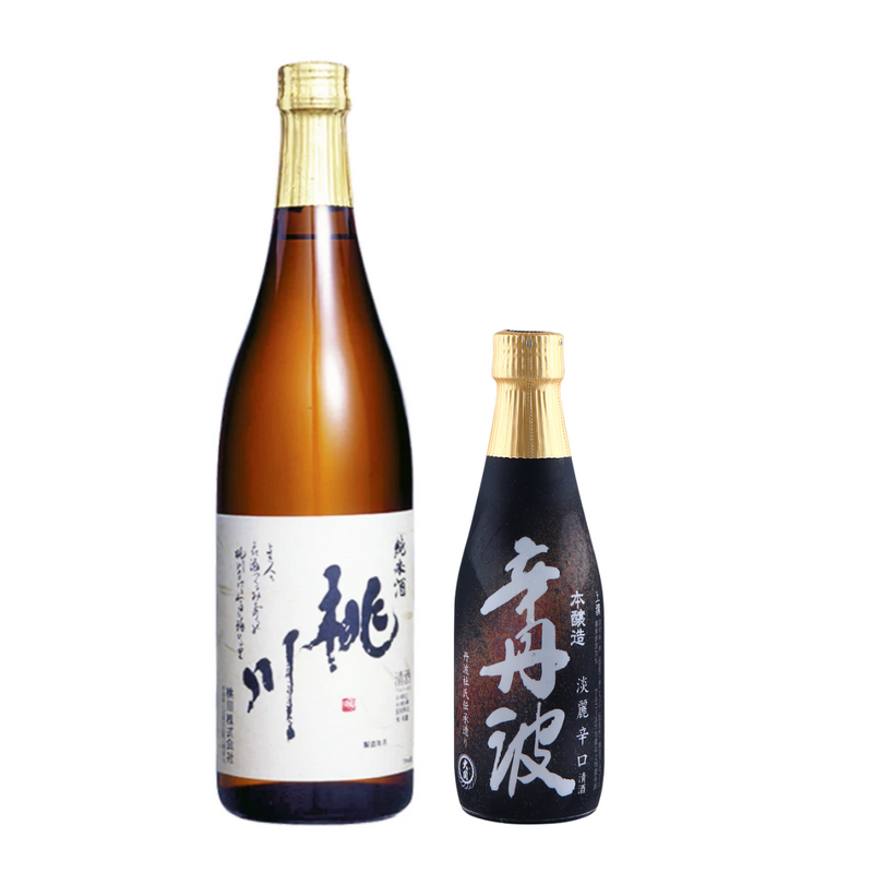 Singapore Flyer Bundle - Sake Inn